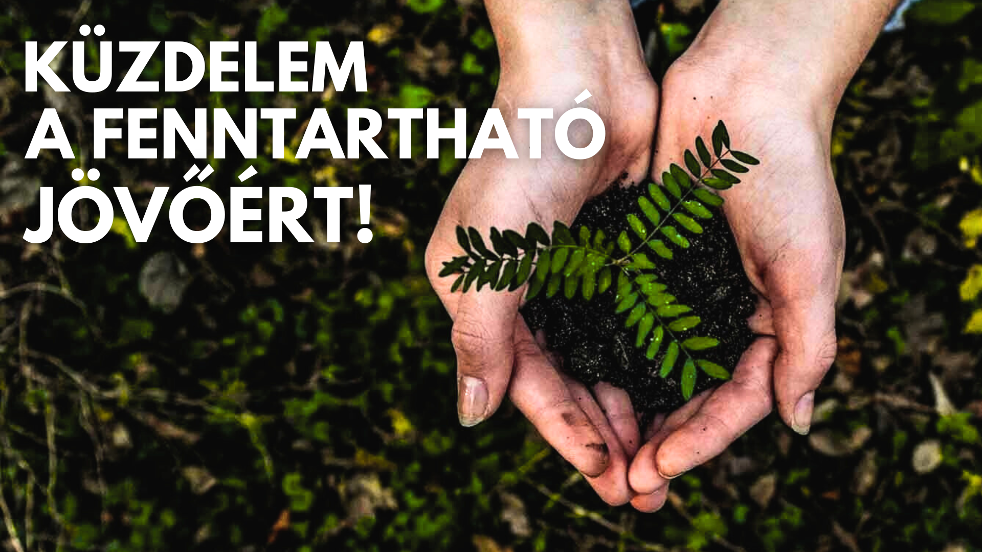 Két kéz földben lévő kis fát tart, mellette a szöveg: Küzdelem a fenntartható jövőért.