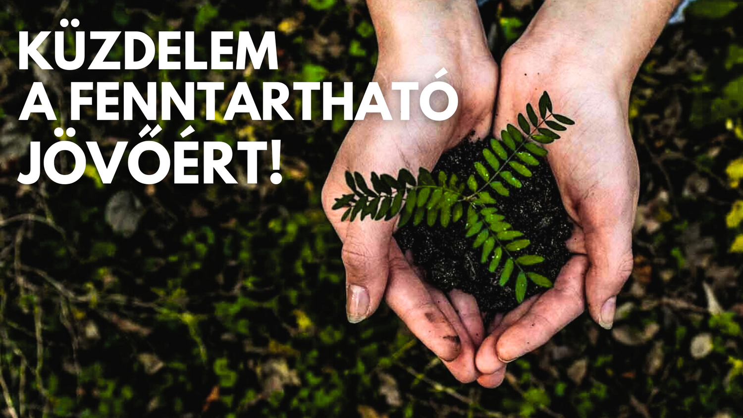 Két kéz földben lévő kis fát tart, mellette a szöveg: Küzdelem a fenntartható jövőért.